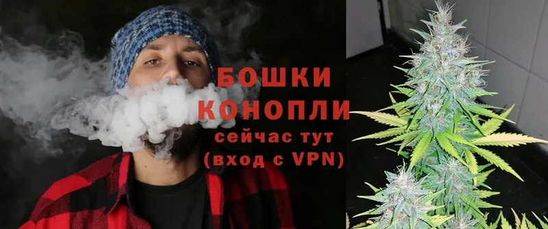 Купить наркотик аптеки Когалым мега как войти  Бошки Шишки  АМФ  Cocaine  Alpha PVP 